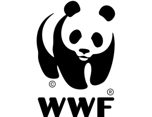 Solar power and women’s power: Sustaining livelihoods in the Amazon