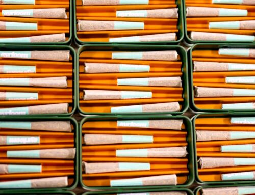 The Cannabis Industry’s New Best Friend? President Trump