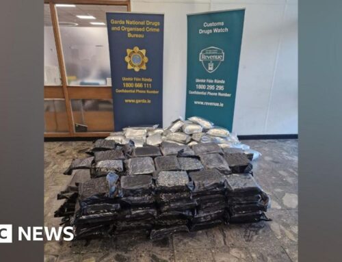 Cannabis worth an estimated €4.2m seized