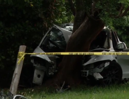 Driver hospitalized after Tesla erupts into flames after crashing into tree in SW Miami-Dade – WSVN 7News | Miami News, Weather, Sports