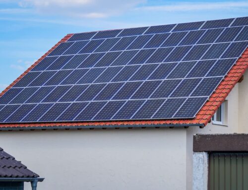 Couple says 61 rooftop solar panels became their smartest money move after saving $44,400 in 10 years