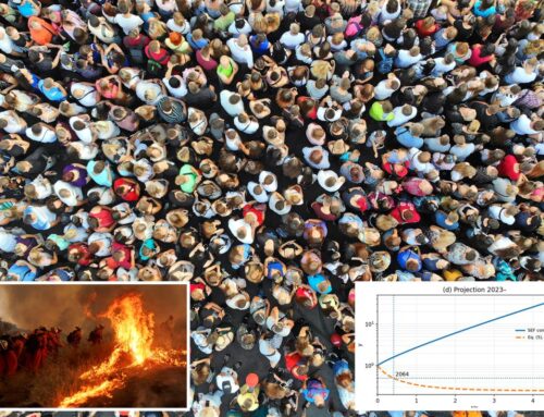 Human population could collapse and be cut in half in just 40 years, doomsday study reveals
