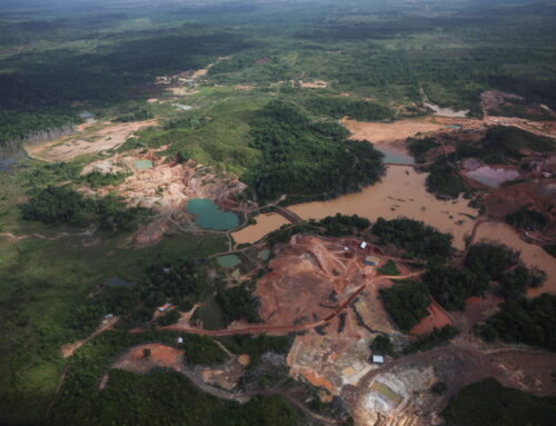 Brazilian government commits $617.5M to Amazon ecological investment