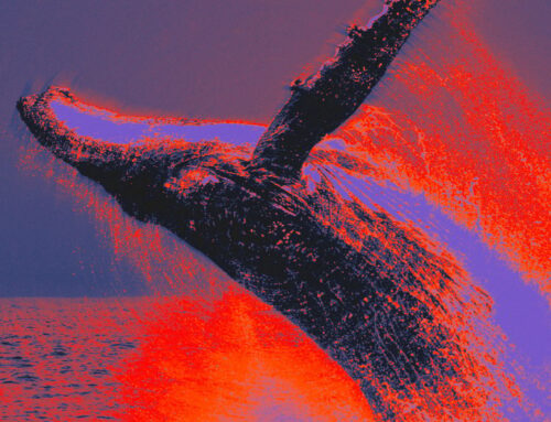 Satoshi-era bitcoin whale moves over $200 million in BTC to FalconX, Cumberland: Onchain Lens