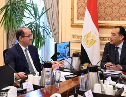 Egypt accelerates shift to electric vehicles to cut costs, support green transition