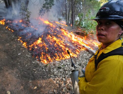 Arizona tribes prep for wildfires, with an eye on forest health