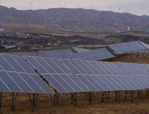 Renewable energies overtook global electricity demand last year, led by solar growth in China, India