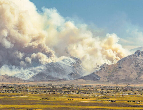 Brace for ‘a lot of fire’ this season in Nevada, officials say