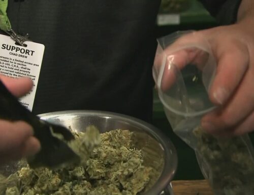 More older adults turning to cannabis