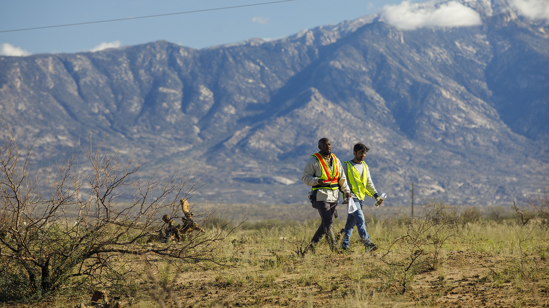 The solution to desert wildfire recovery could come from your salad bowl