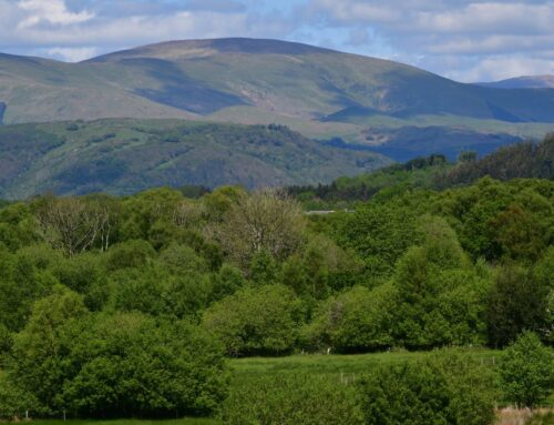 Country diary: One turn inland, and the valley opens up before me