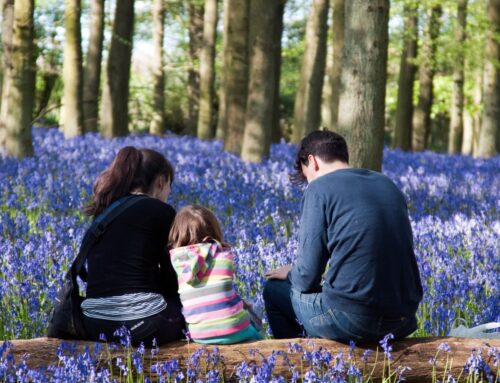Half of UK adults say they spend less than three hours a week outside in nature