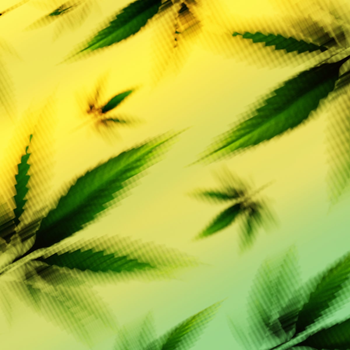 How US hemp ban could criminalize CBD products – and derail Medicare plan