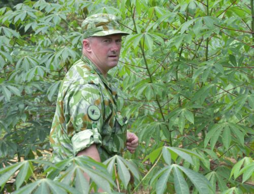 Carbon cowboys and unpaid pledges: Ex-Gabon environment minister Lee White on conservation in Africa