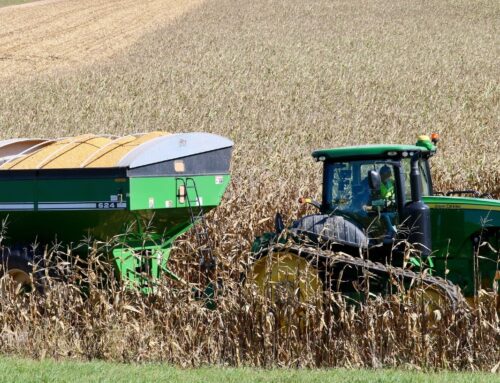 U of M study: Economic growth can help the environment