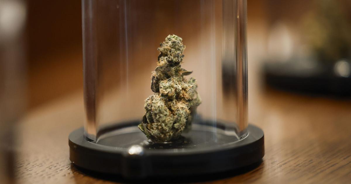 New Orleans’ West Bank now has its own medical marijuana dispensary