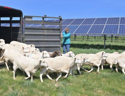 Lancaster County farmland advocates and farmers should find middle ground on solar energy [editorial]
