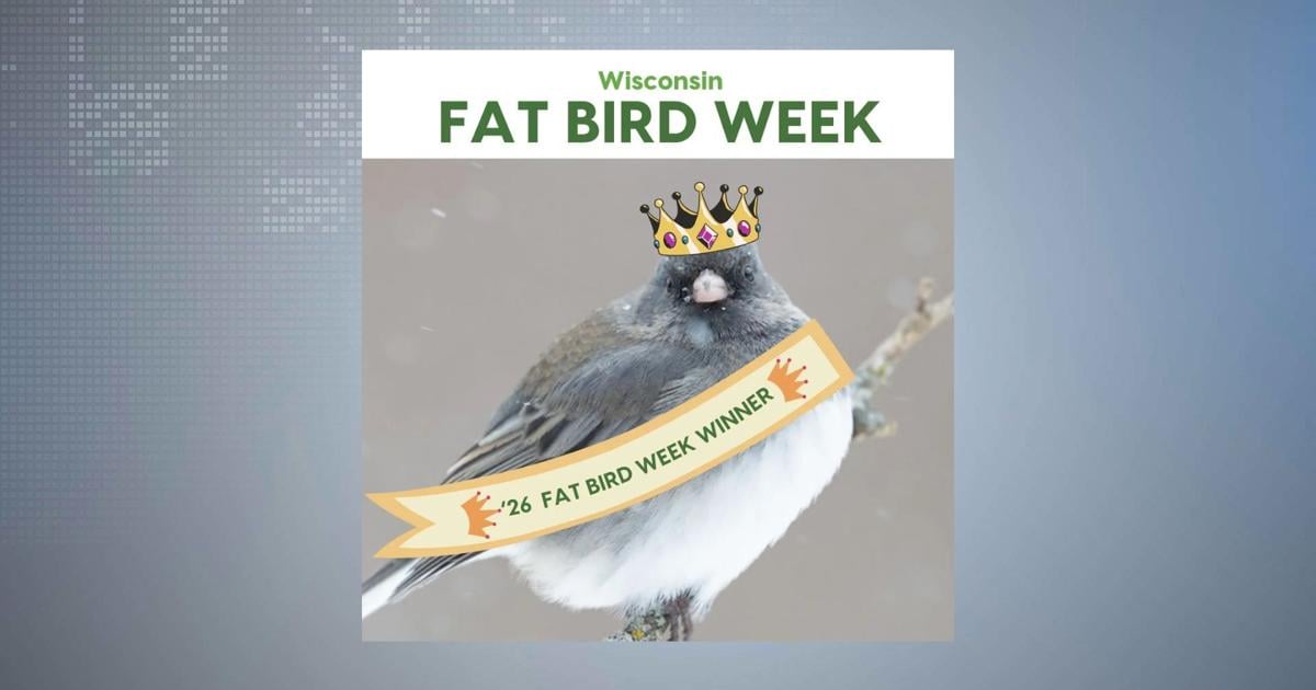 Winner of Fat Bird Week contest named