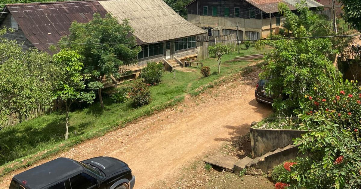 Brazilian court orders restoration of Fordlandia, Henry Ford’s Amazon ghost town