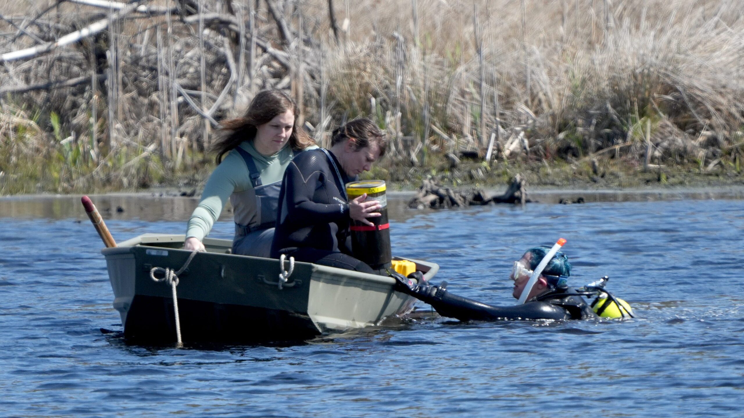 See nitrogen reduction research at Cold Brook Preserve in Harwich Port