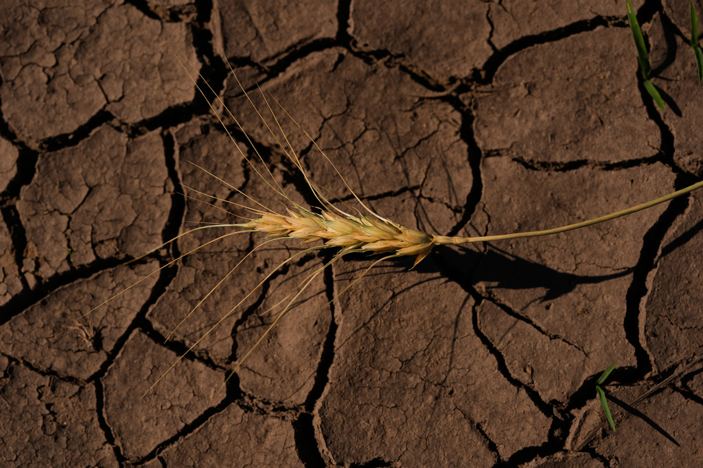 SEC moves to nix climate rule SEC moves to nix climate rule