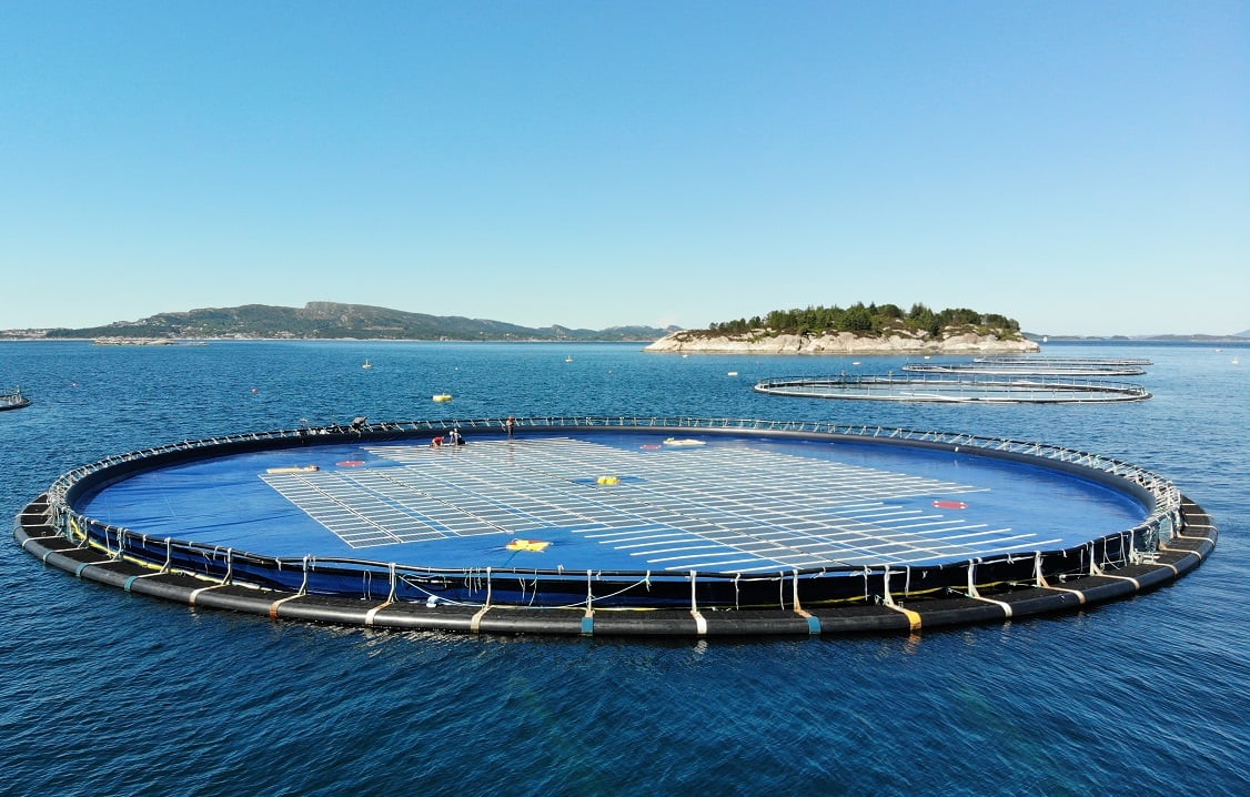 Ocean Sun inks MoU to deploy utility-scale floating solar across Asia