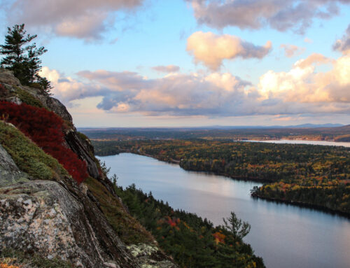 Environmental groups unveil policy roadmap with an eye towards Maine’s future leaders