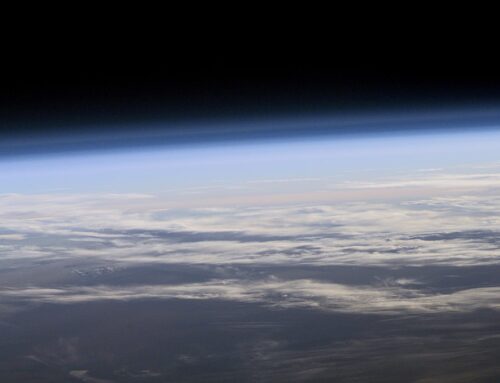 Active Responses Of Cyanobacterial Crusts Directly Exposed To The Extreme Stratospheric Environment