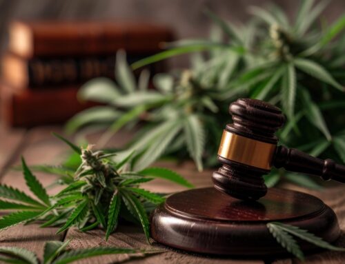 D.C. Board Clears Exotix DMV Cannabis Dispensary Near Daycares