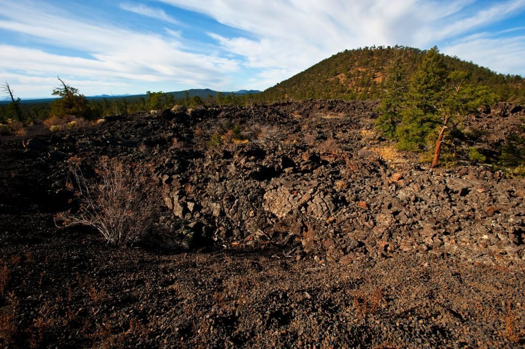 “It’s a land of frozen fire – a vast volcanic landscape shaped by violent eruptions and molten magma.” Today wildlife, including deadly snakes, thrive here…