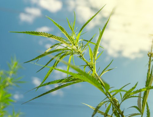 Stalemate over Virginia Adult-Use Cannabis Bill – Governor Faces May 22, 2026 Deadline