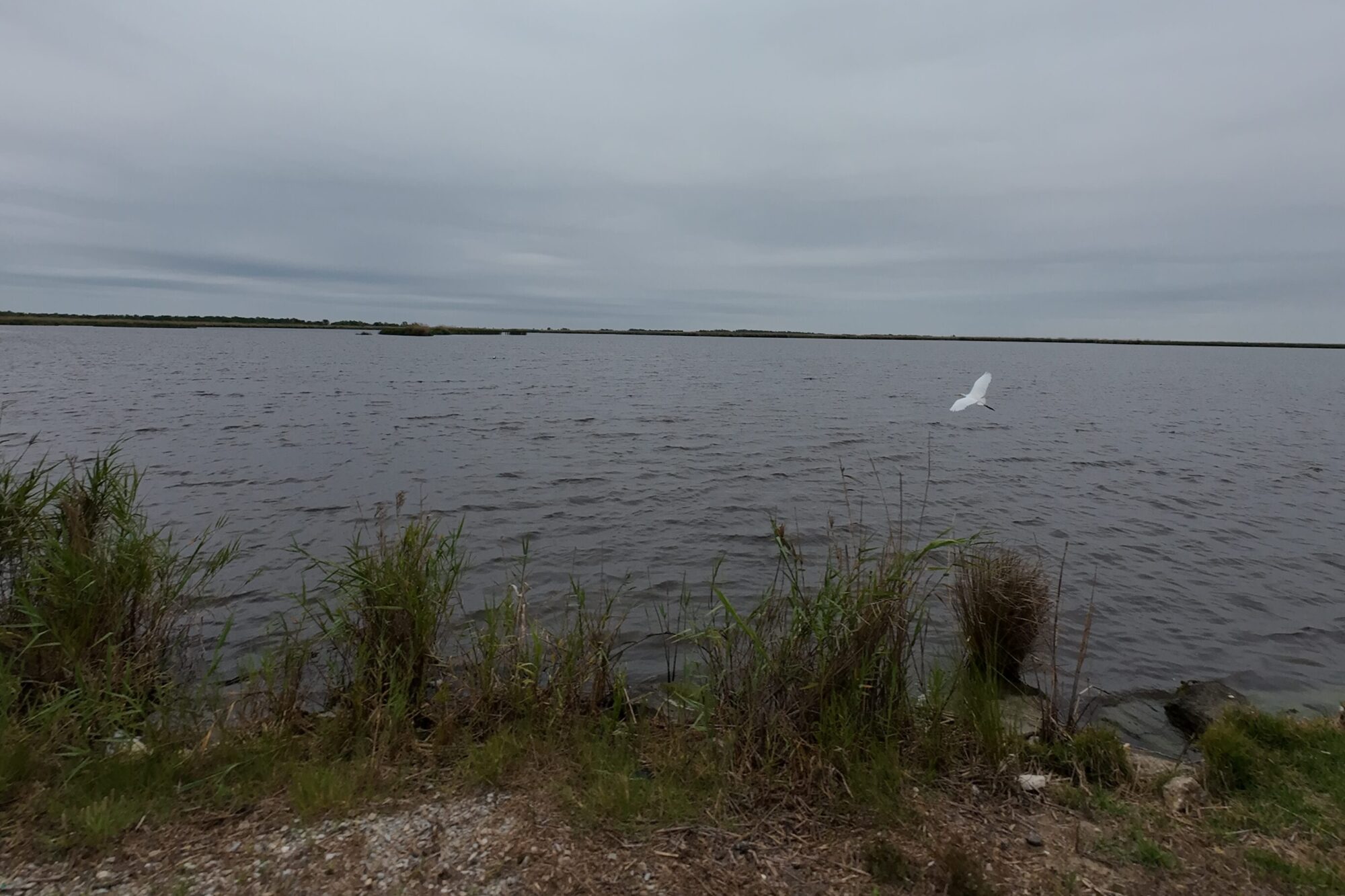 As SpaceX rumors circulate in coastal Louisiana, so do worries of losing generational land As SpaceX rumors circulate in coastal Louisiana, so do worries of losing generational land