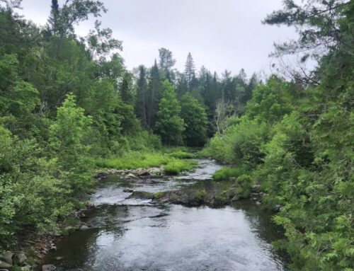 Keep Maine beautiful by protecting, investing in our public lands