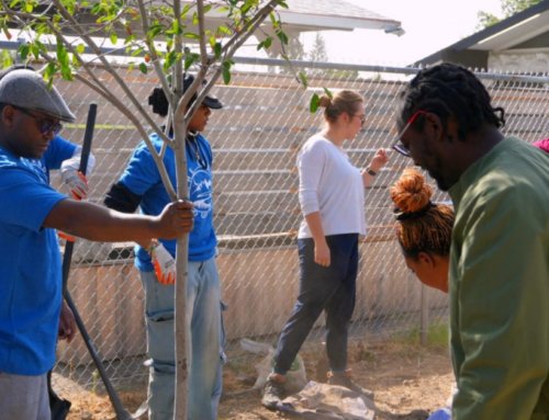 Seattle’s Environmental Justice Fund Application is Open: Grants will support community-led climate projects