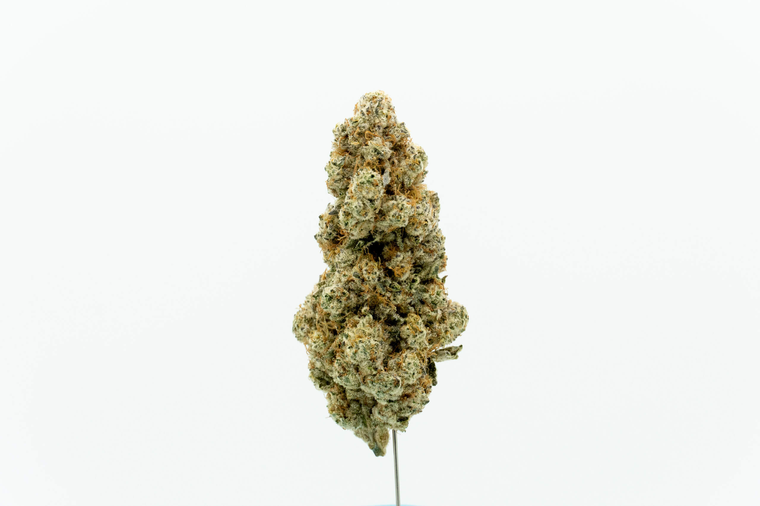 Canopy Growth Relaunches Tweed Brand in Germany with New MTL Cannabis Strain Lineup, Marking First International Release Following Acquisition