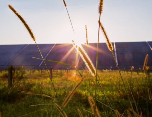 DTE Energy issues 1-GW RFP for solar, wind projects