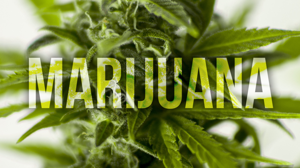 Speakeasy Dispensary to bring medical cannabis access to Bowling Green – WNKY News 40 Television Speakeasy Dispensary to bring medical cannabis access to Bowling Green – WNKY News 40 Television