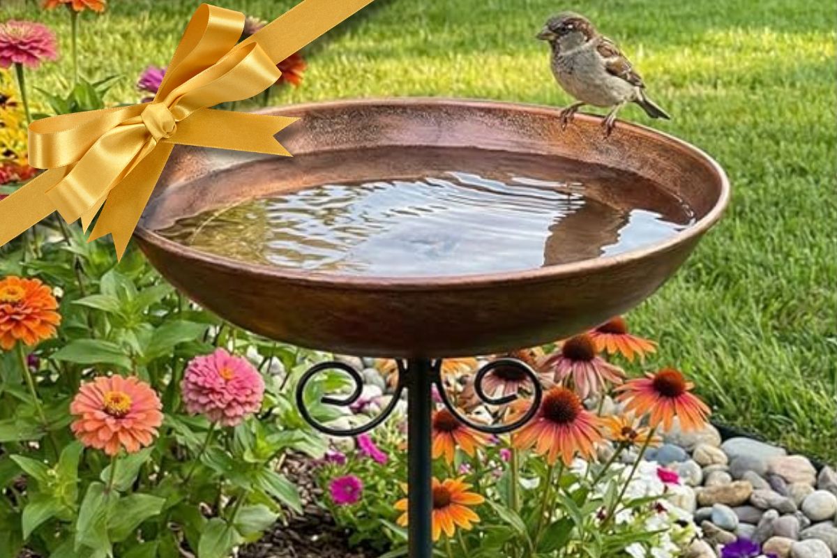 Amazon Drops Prices on Mother’s Day Garden Gifts—Up to 50% Off Garden Tools, Decor, Raised Beds, and More