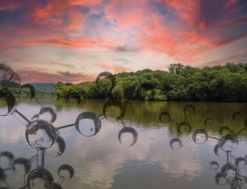 EPA’s Weakened National Drinking Water Standards on PFAS Threaten Public Health, Environment with “Forever Chemicals”
