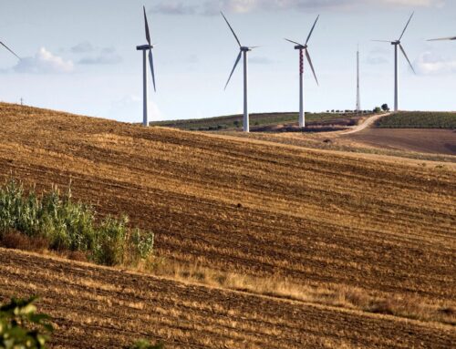 Italy pays the price of Meloni’s stalled green energy transition