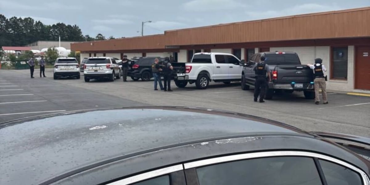SCHP: Bearcat truck crashes into Tesla in Horry County