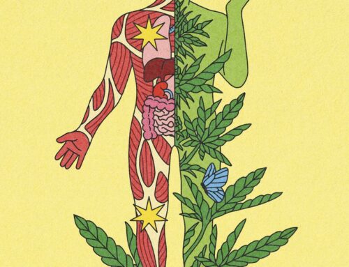 What doctors want you to know about cannabis and health