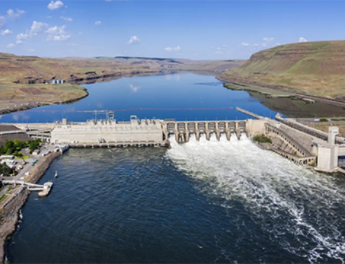 Cracks in the lower Snake River dams