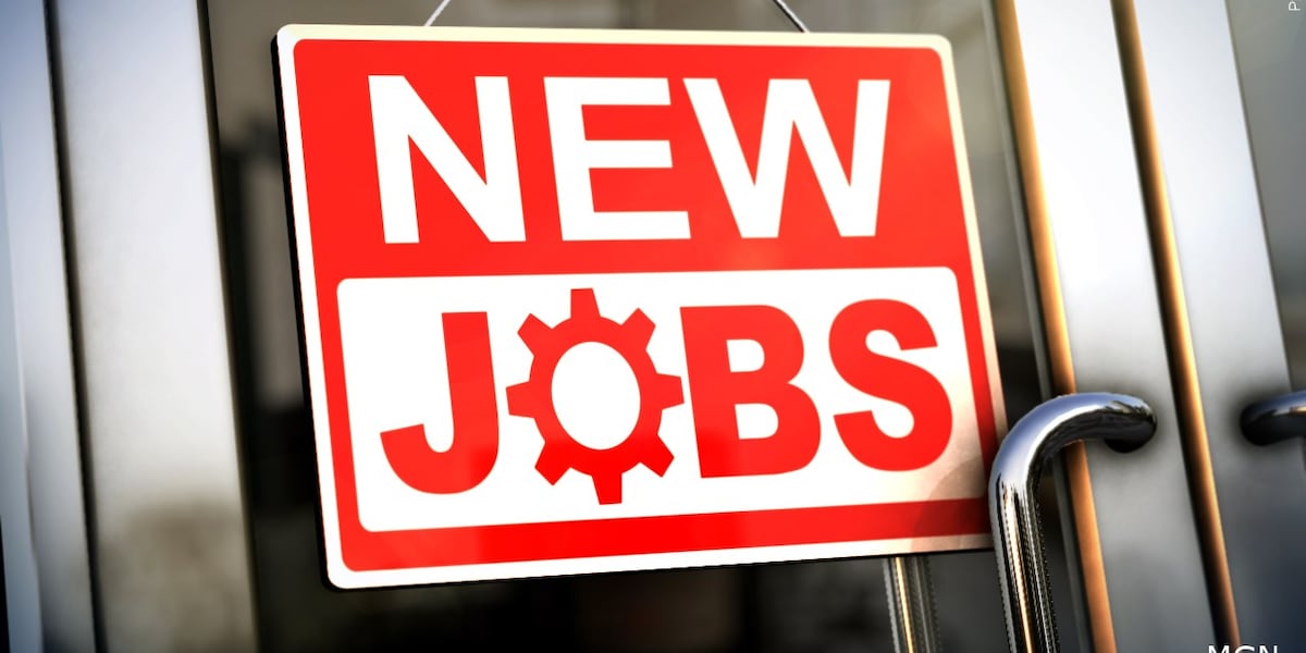 New M plant expansion brings 100 jobs, boosts EV industry in Effingham County