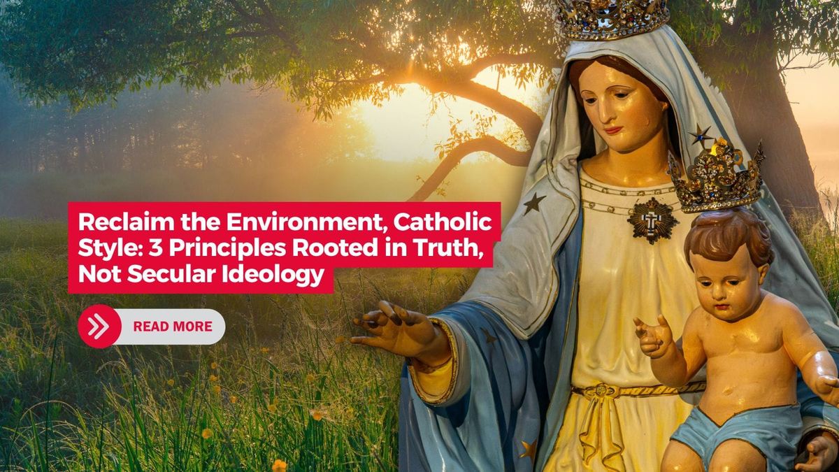 Reclaim the Environment, Catholic Style: 3 Principles Rooted in Truth, Not Secular Ideology