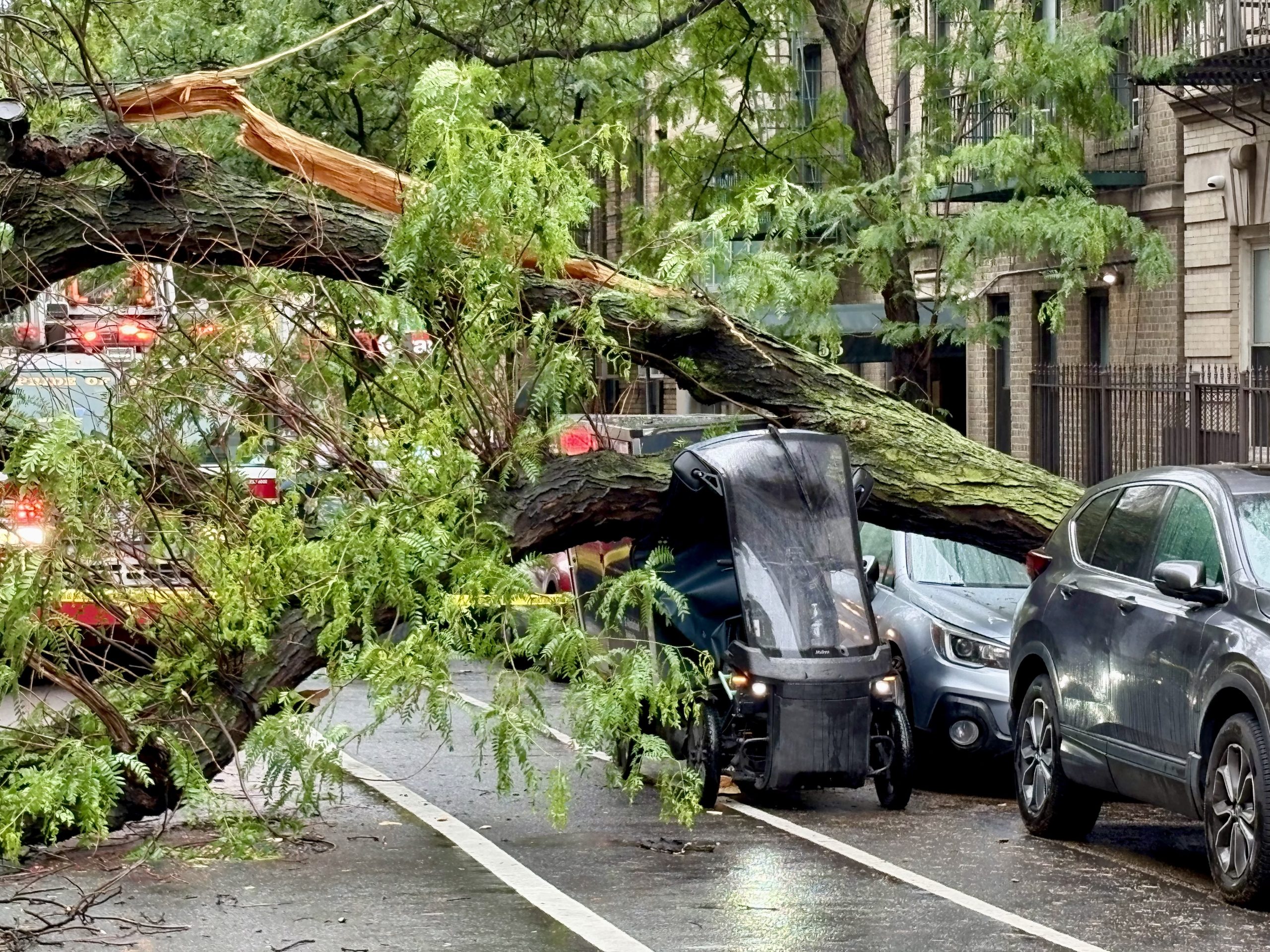 Massive Street Tree Topples on W44th Street, Crushing Amazon Delivery Vehicle Massive Street Tree Topples on W44th Street, Crushing Amazon Delivery Vehicle