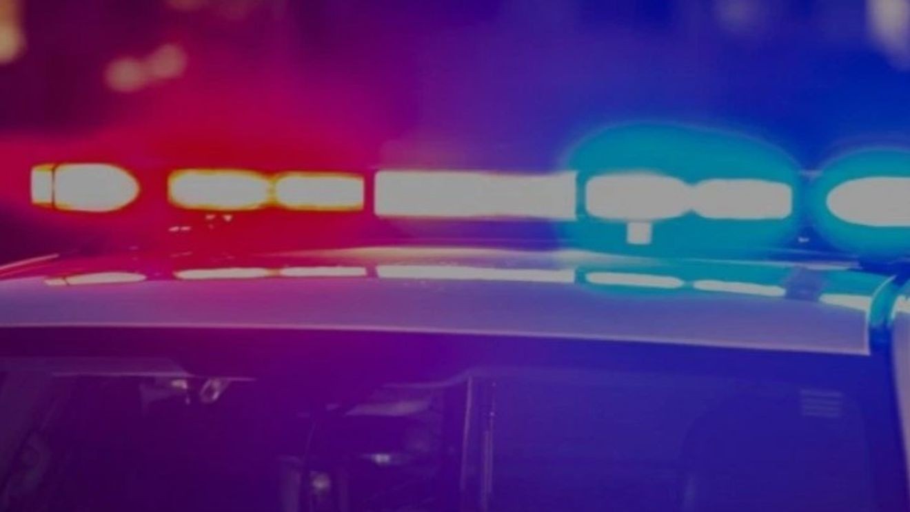 Another cannabis shop burgled
