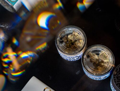 May 7: Cannabis Corruption | Tablet Magazine