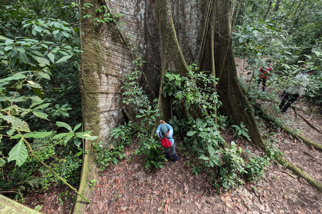 The Amazon’s protected areas exist on paper. Many still lack the money to work.