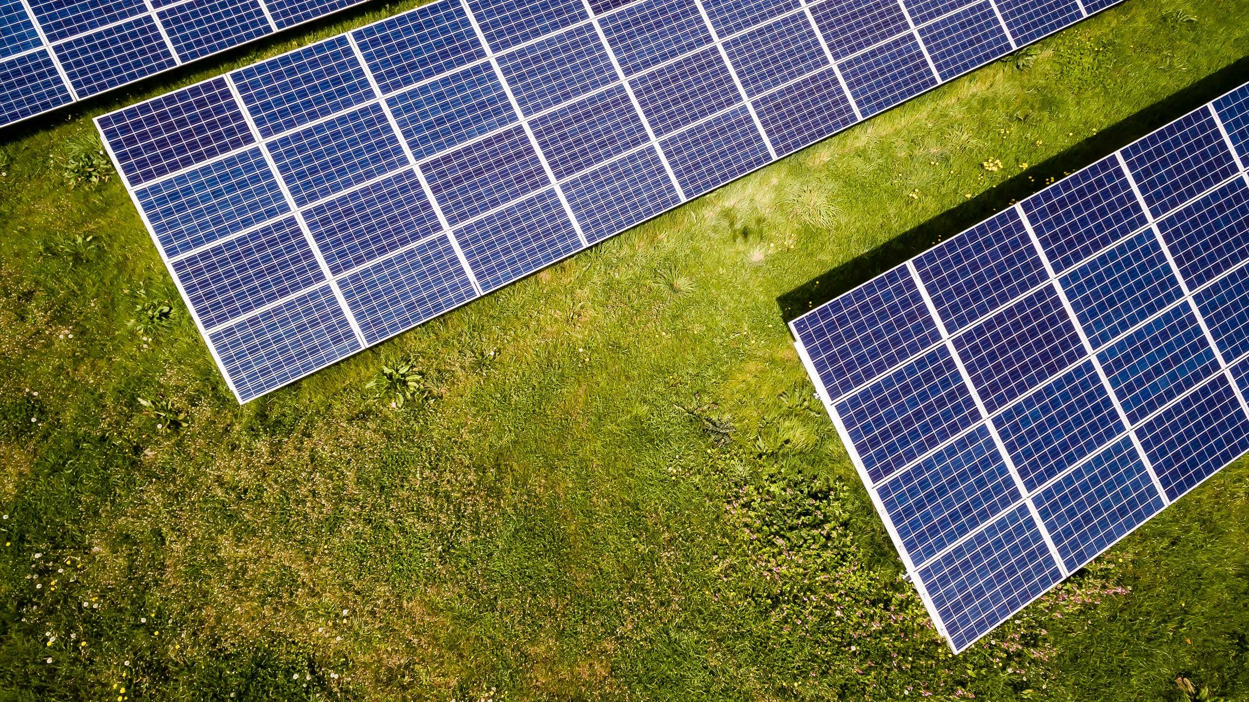 Tennessee ranks worst in the nation for solar and wind. Why?